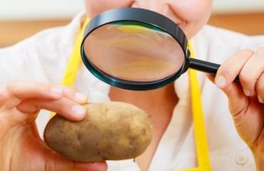 Tasmania Mop-Top Virus Outbreak Extends to Retail Potatoes as Mainland States Impose Curbs