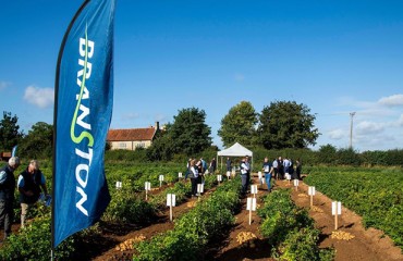 Branston and Tesco Highlight Potato Innovation at Caythorpe Trials