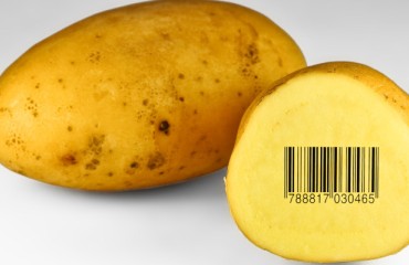 Traceability and Accountability in the Potato-Processing Industry