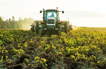 McCain Foods Moves To Acquire Penobscot McCrum In Bid To Strengthen North American Processing Network