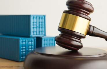 WTO Rules Colombia in Breach of Trade Obligations in EU Frozen Fries Dispute