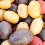 Washington Potato Commission Urges USDA To Restore Staffing At Idaho Breeding Program