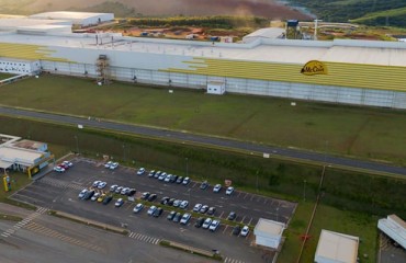 USD 334 Million Expansion Positions McCain for Rising Demand in Brazil’s Frozen Potato Market