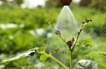 Loveland Products Introduces WEATHER GARD™ ELITE to Simplify and Improve Spray Applications
