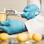 Brazil Introduces New Potato Cultivar Developed For Processing