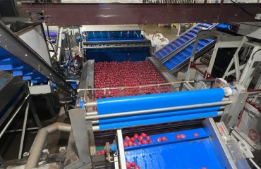 Wyma Installs 60 Tonne-Per-Hour Potato Wash Line For Heartland Fresh Pak