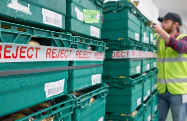Reducing Food Waste: What Regulation, Consumers, And Processors Are Demanding